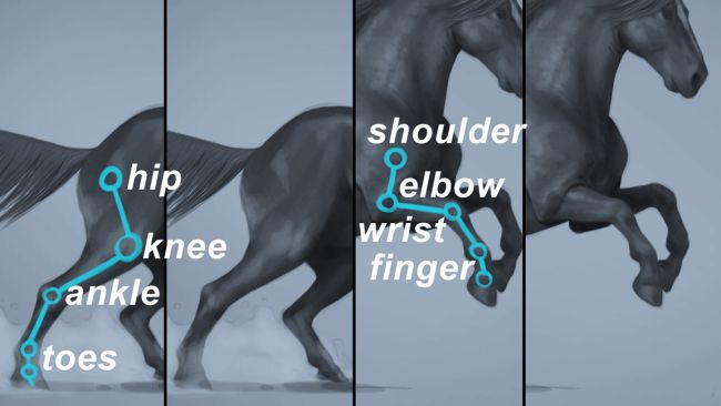 Як намалювати коня: поетапно крок за кроком